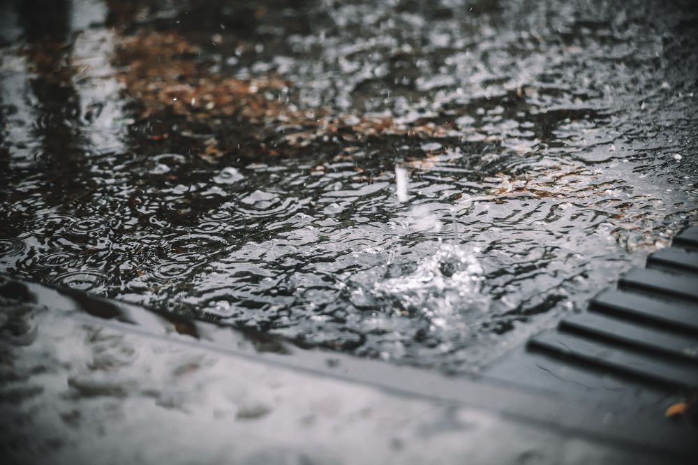 Photograph by Богдан Тарасов