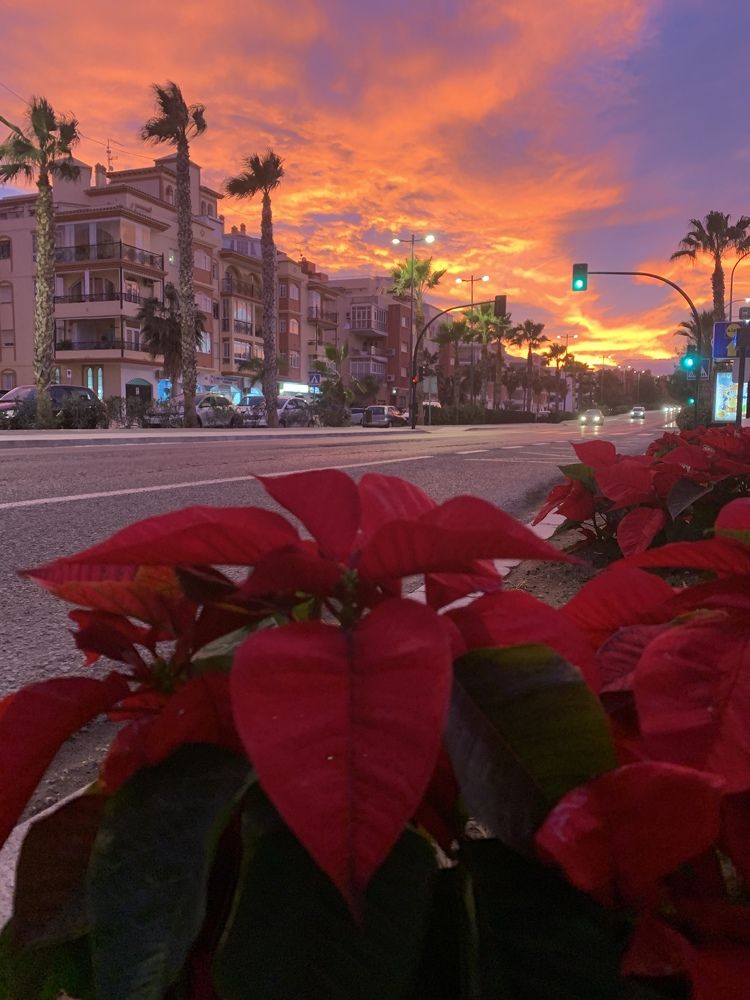 Photograph by jdelpuerto_Photography