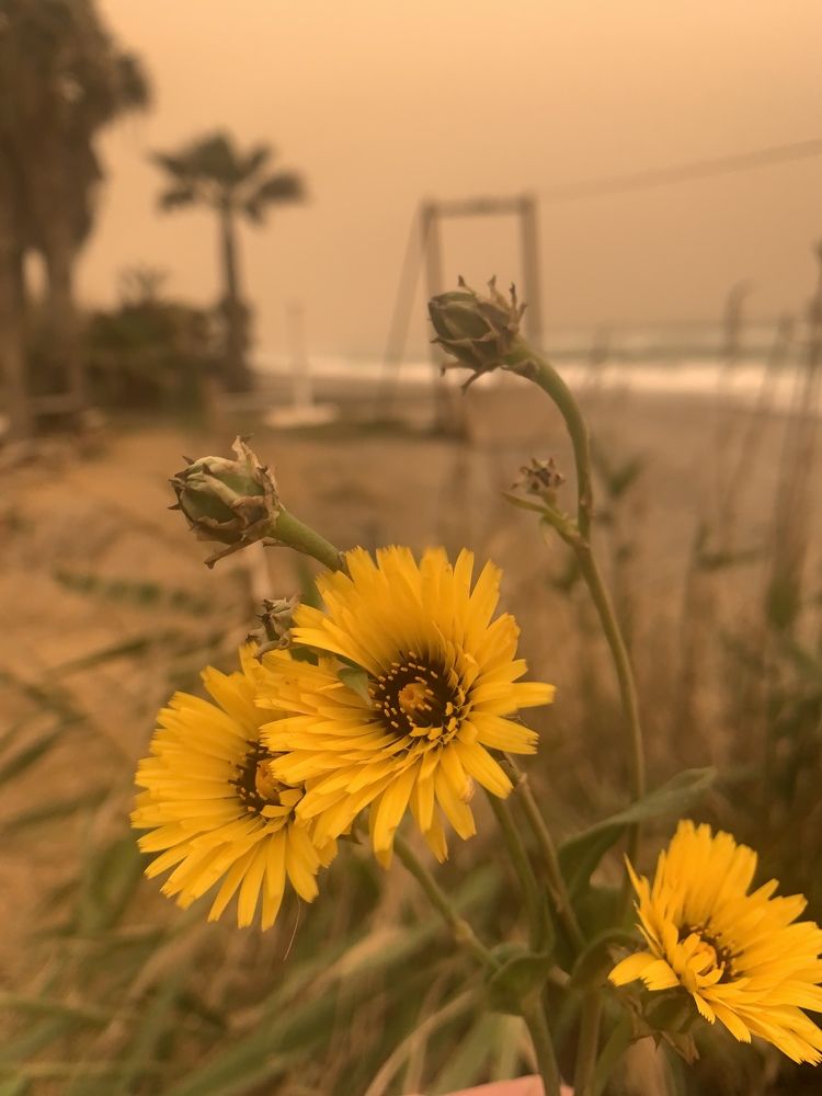 Photograph by jdelpuerto_Photography