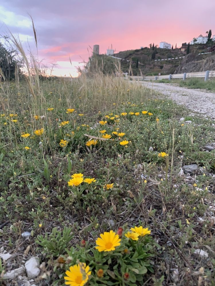 Photograph by jdelpuerto_Photography