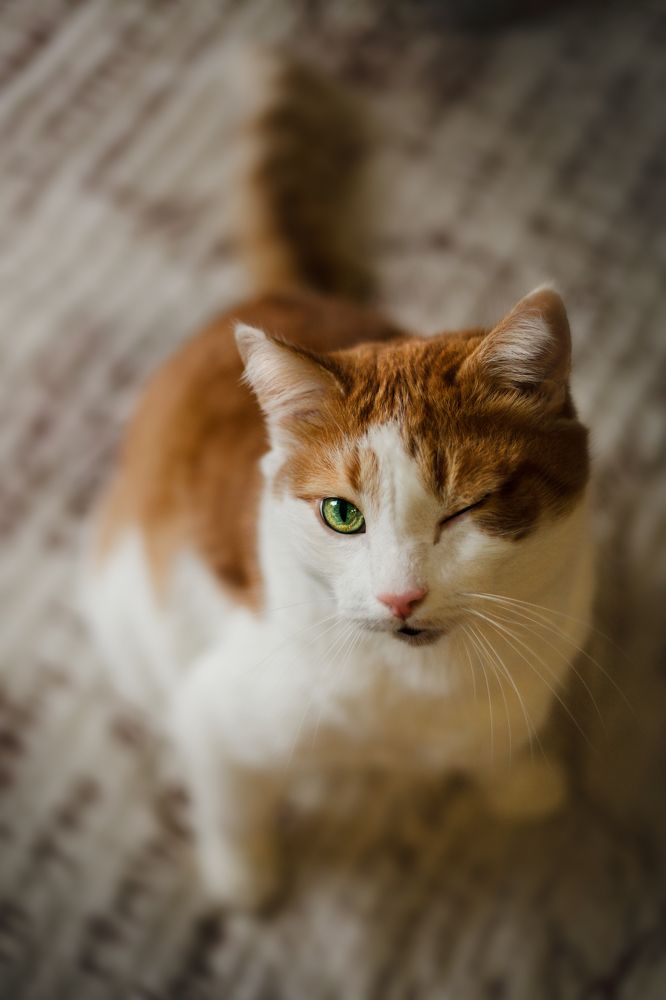 Photograph by Татьяна Степанова