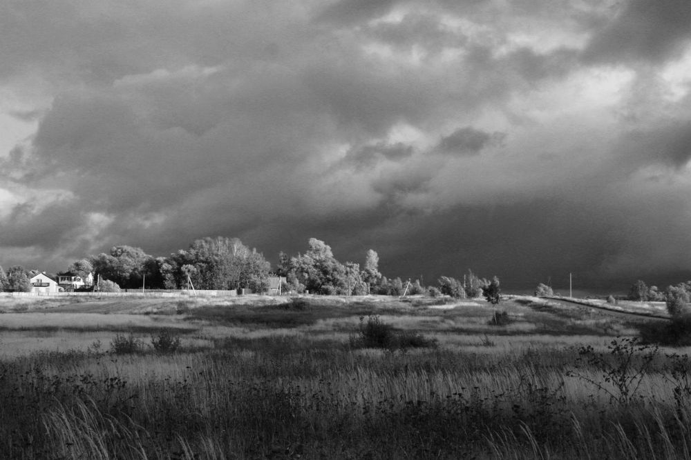 Перед грозой