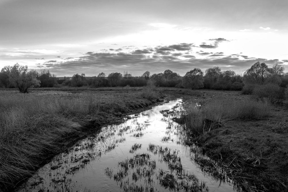 Photograph by  Александр