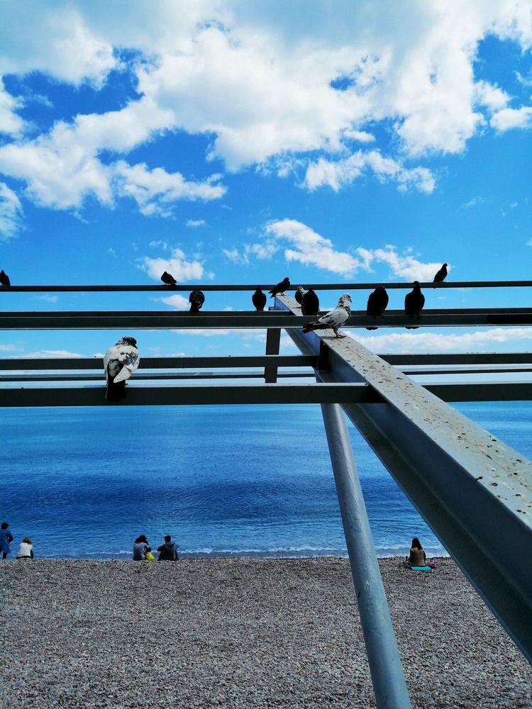 Photograph by Татьяна Чарушина