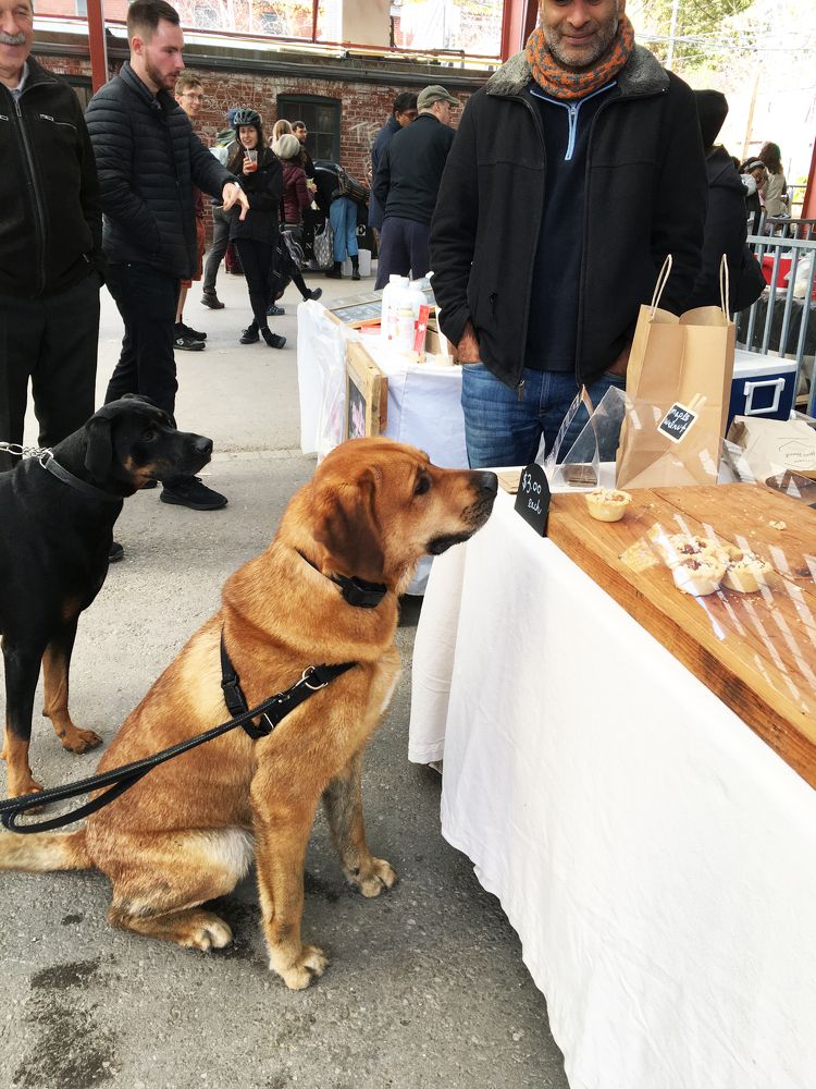 Photograph by Владимир Молостов