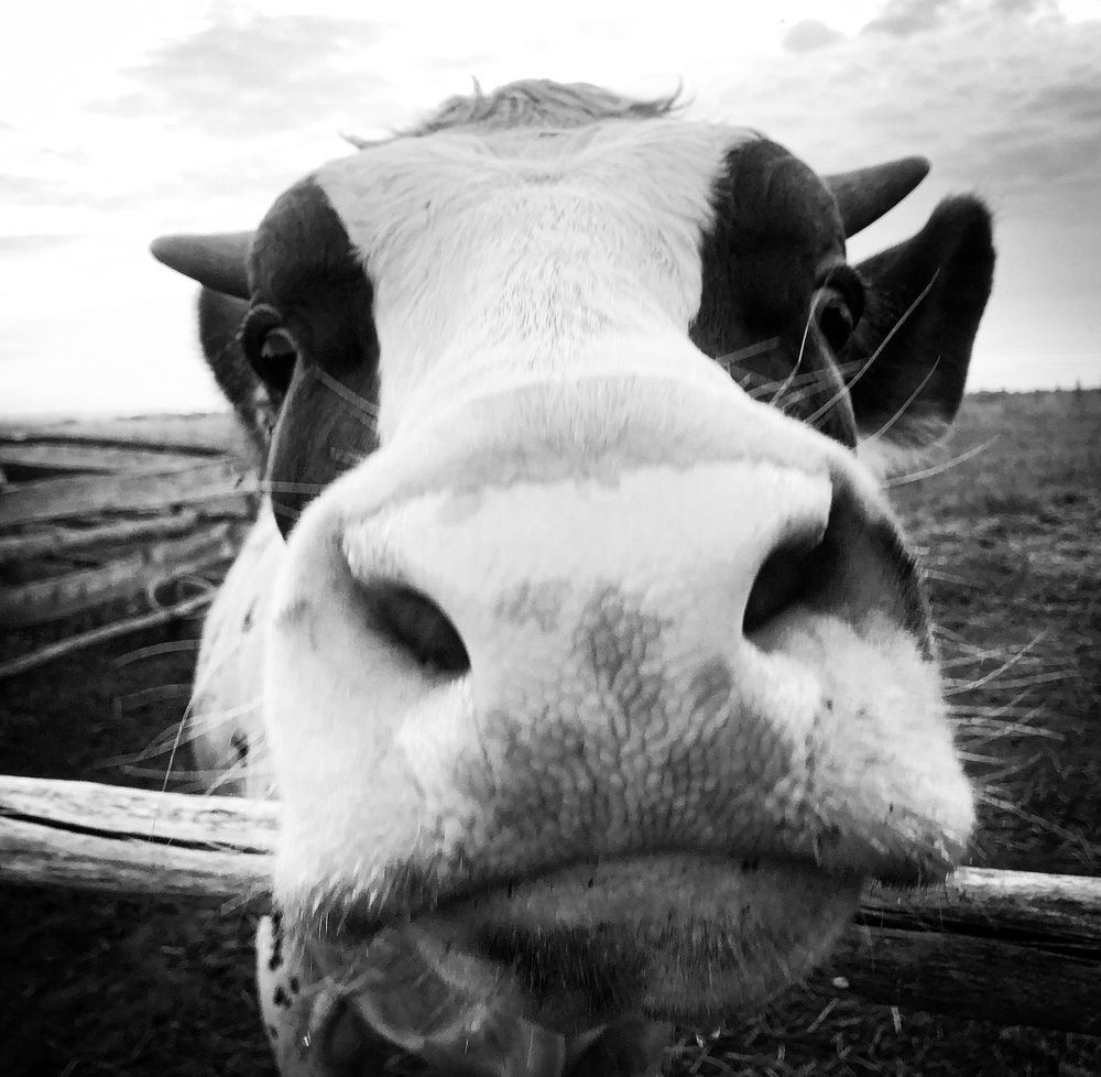 Photograph by Игорь Антонов