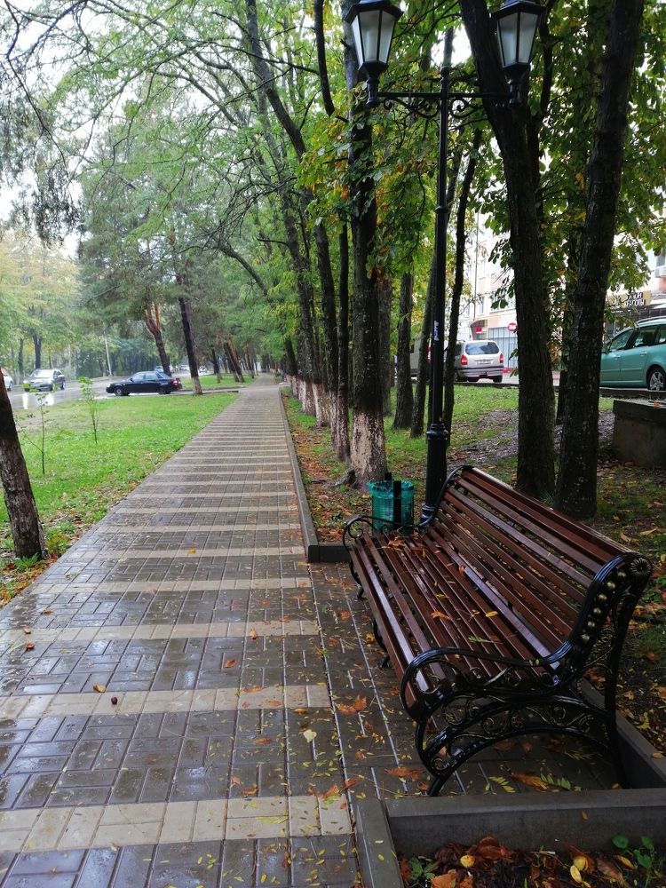 Photograph by Татьяна Чарушина