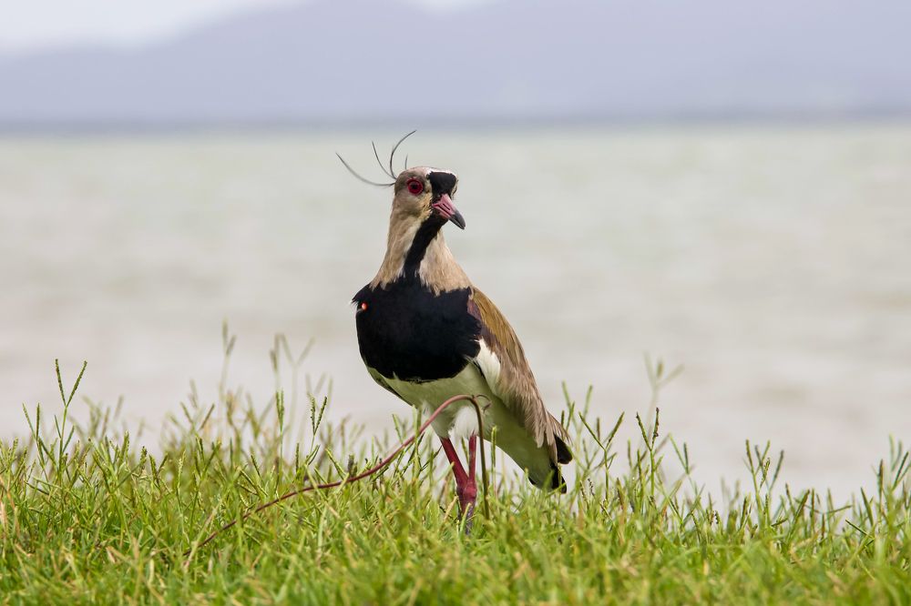 Photograph by Александр М.