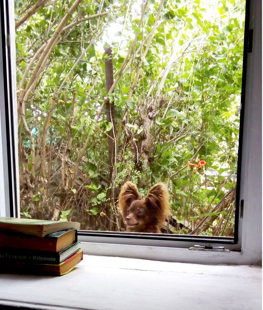 Photograph by Татьяна Чарушина