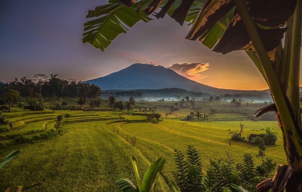 Photograph by agung yudha