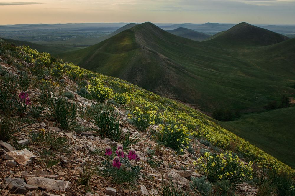 Photograph by Вячеслав Болякин