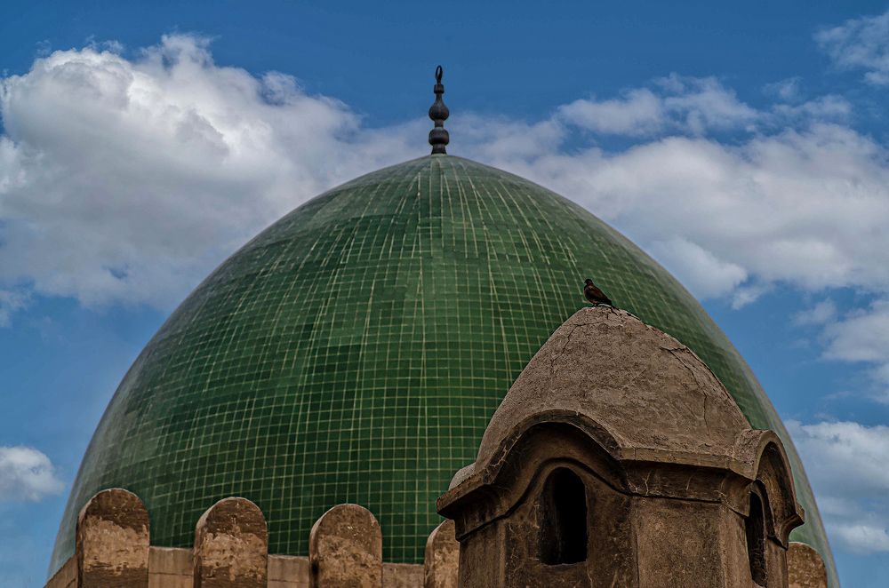 Photograph by Yasmin Elsharma