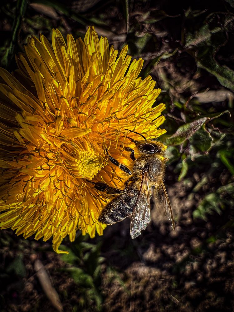 Photograph by Вера Рудик