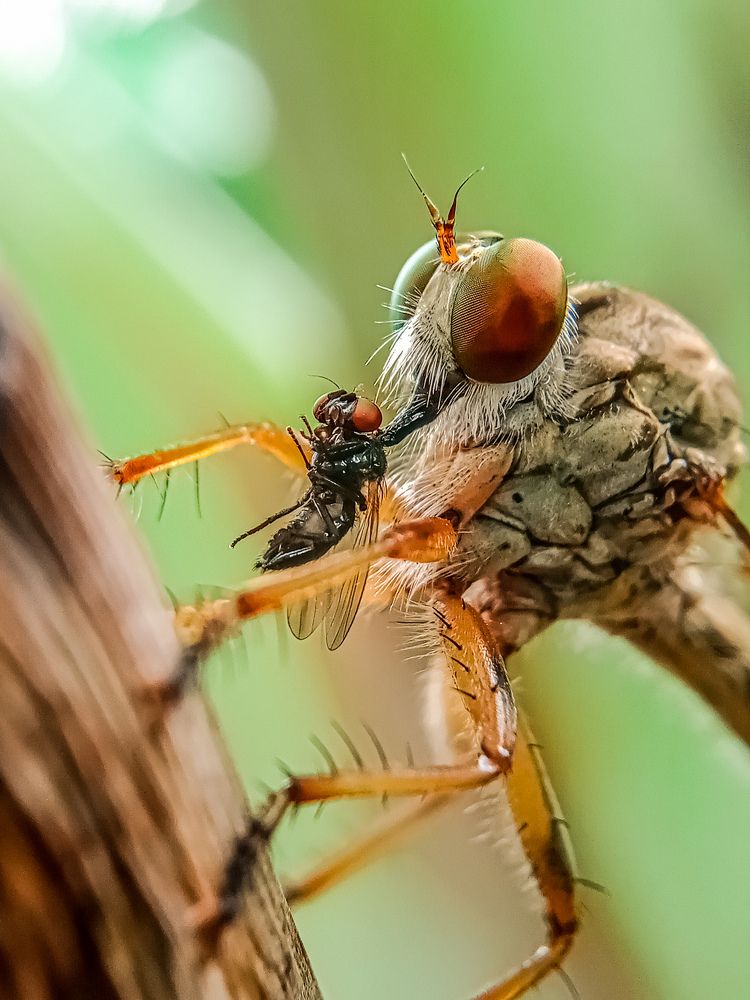 Photograph by Tharmaplan Ampalini