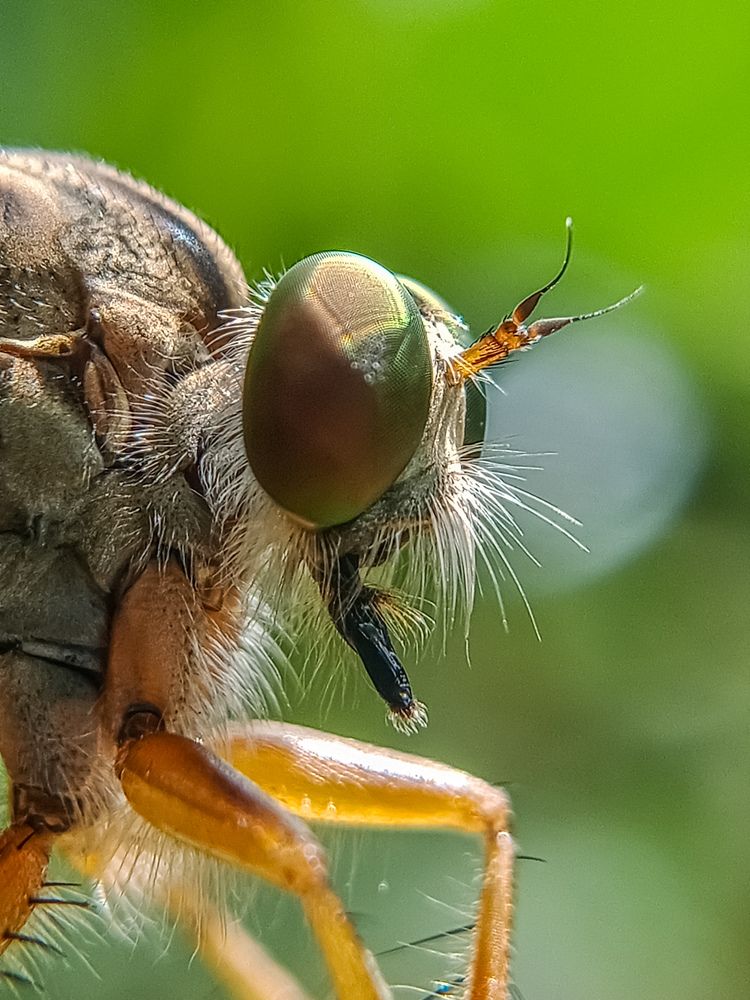 Photograph by Tharmaplan Ampalini