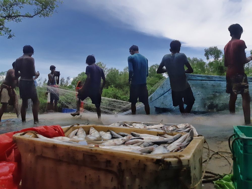 Fish catching