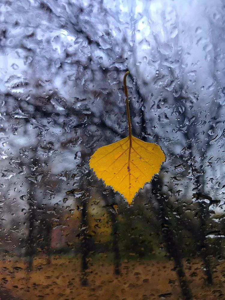 Photograph by Елена Смирнова