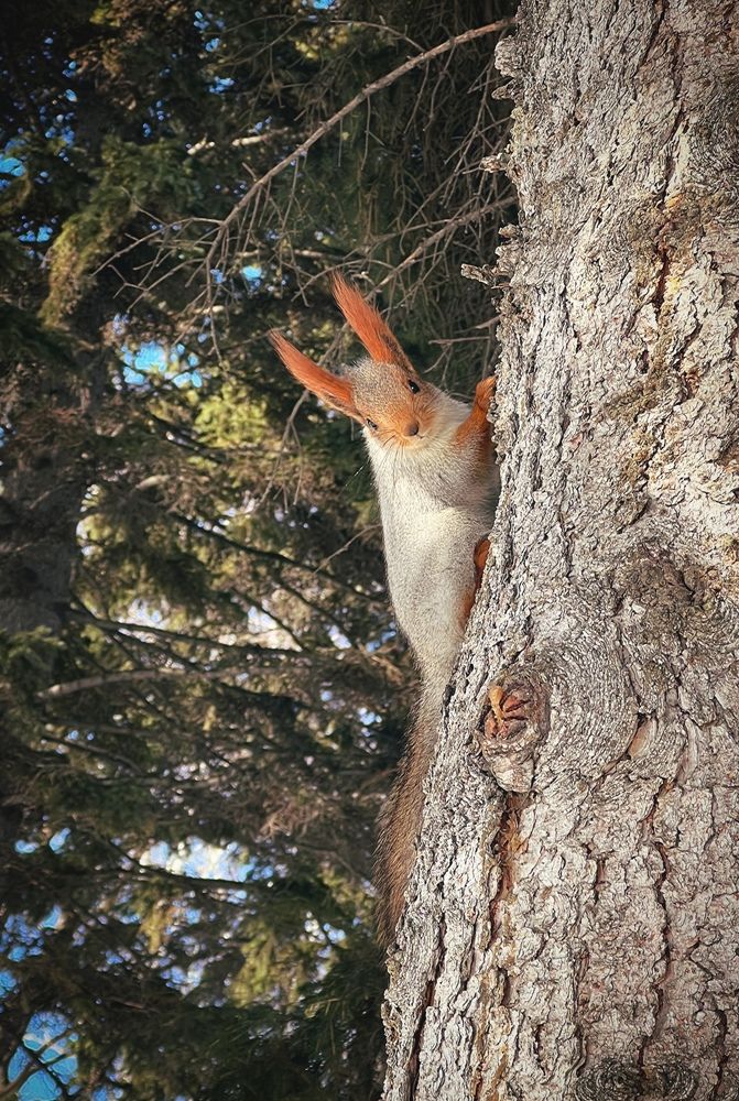 Photograph by Tatyana Aksenenko