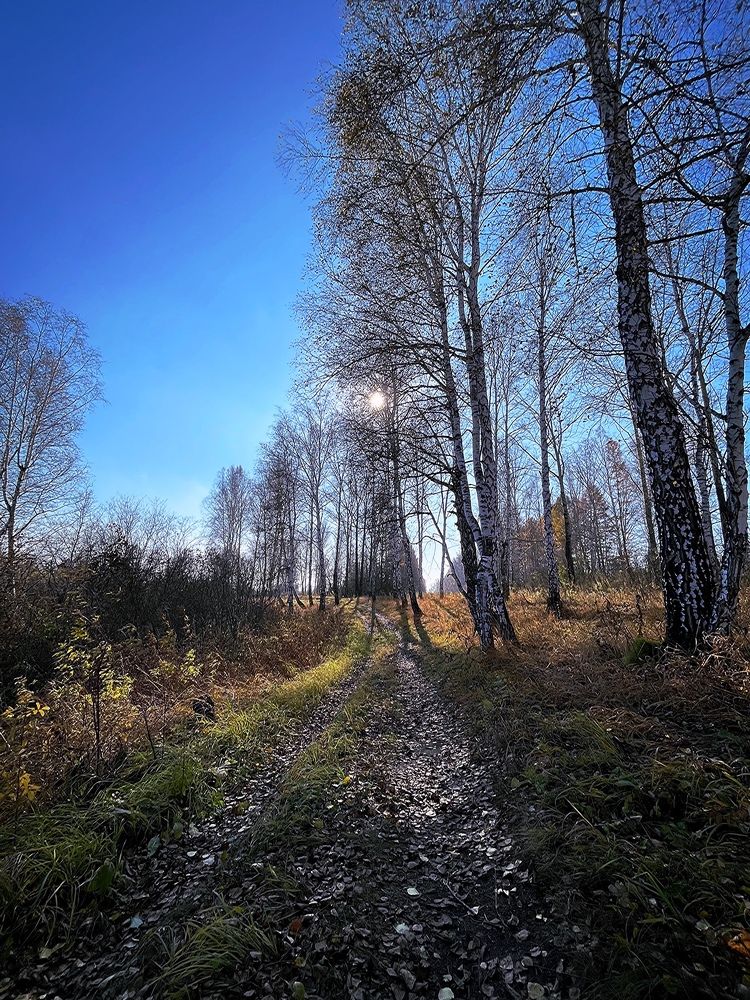 Photograph by Tatyana Aksenenko