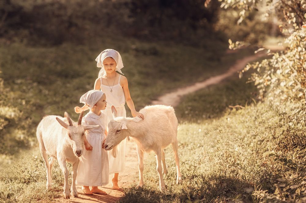 Про деревню