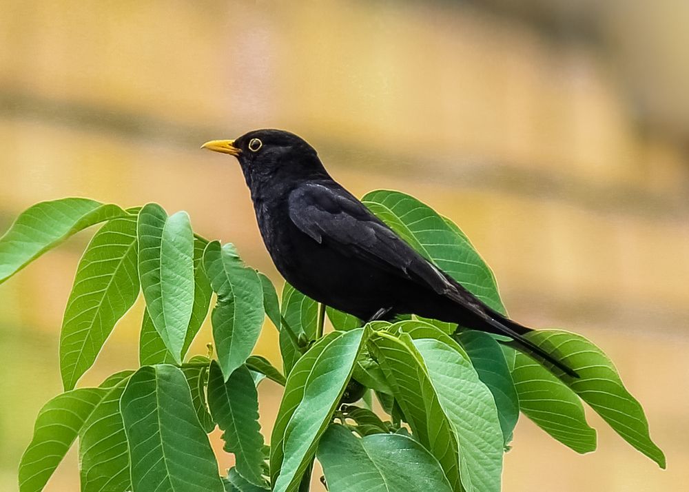 Photograph by bahare