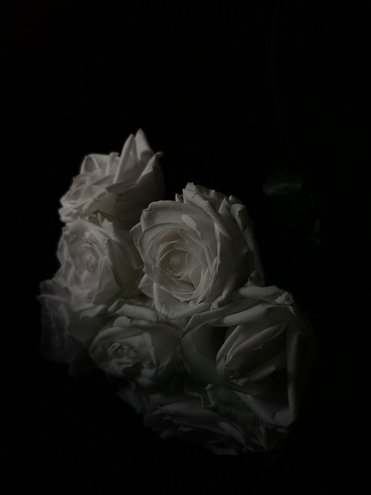 Photograph by Лиана Романчук