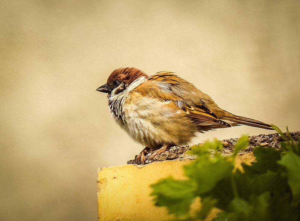 Photograph by bahare