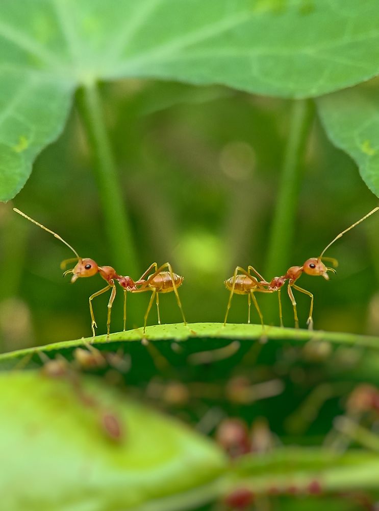 Photograph by Souvik Bhowmik