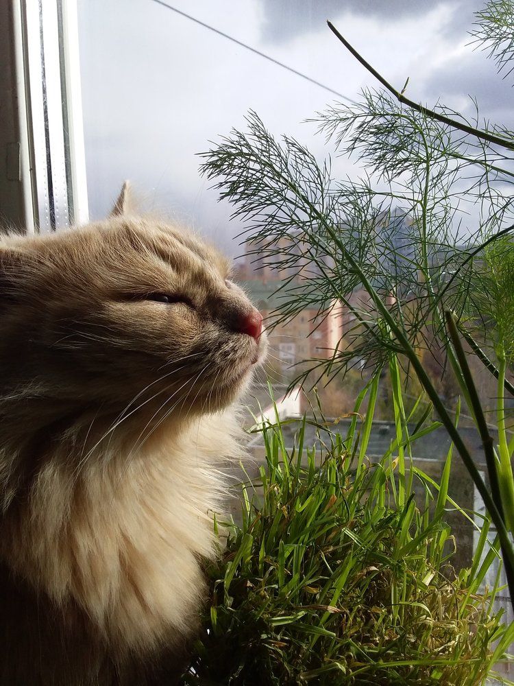 Photograph by Анастасия Кичигина