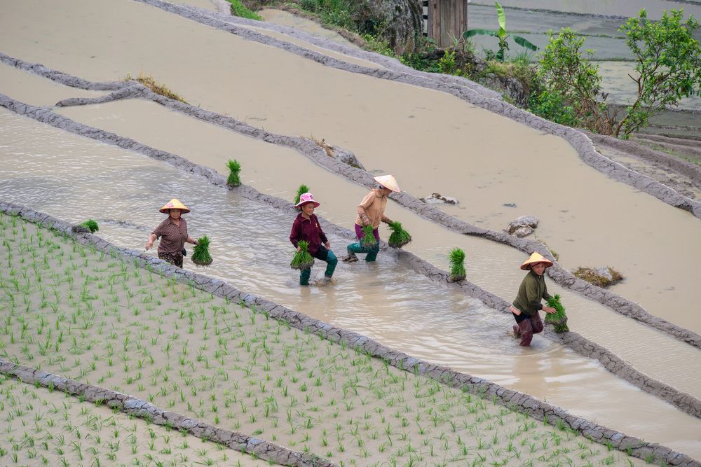 Фотография автора Trần Minh Thìn