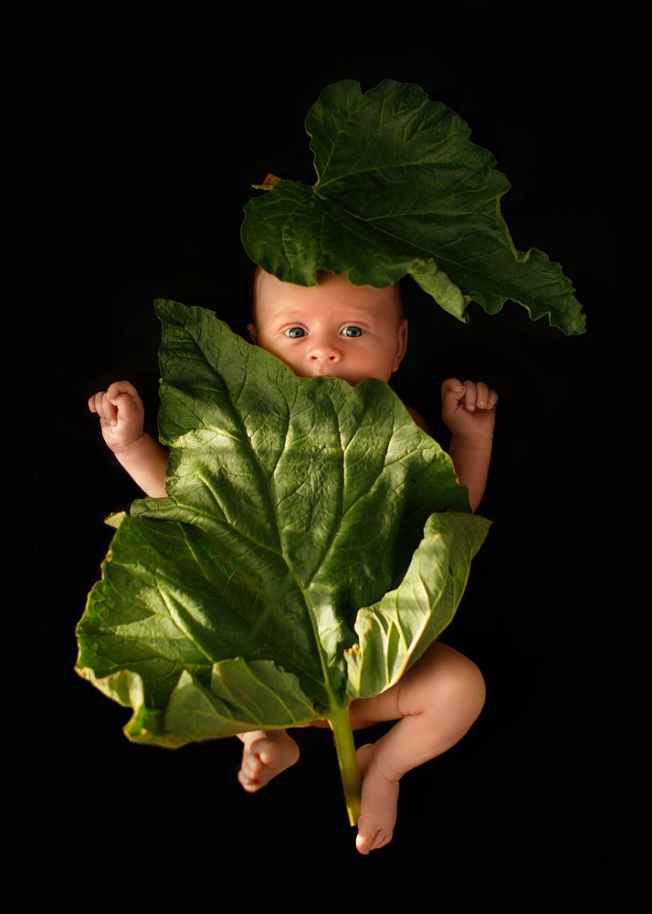 Photograph by Екатерина Новикова