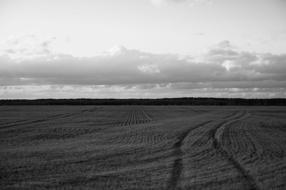 Photograph by Иван Полиненко