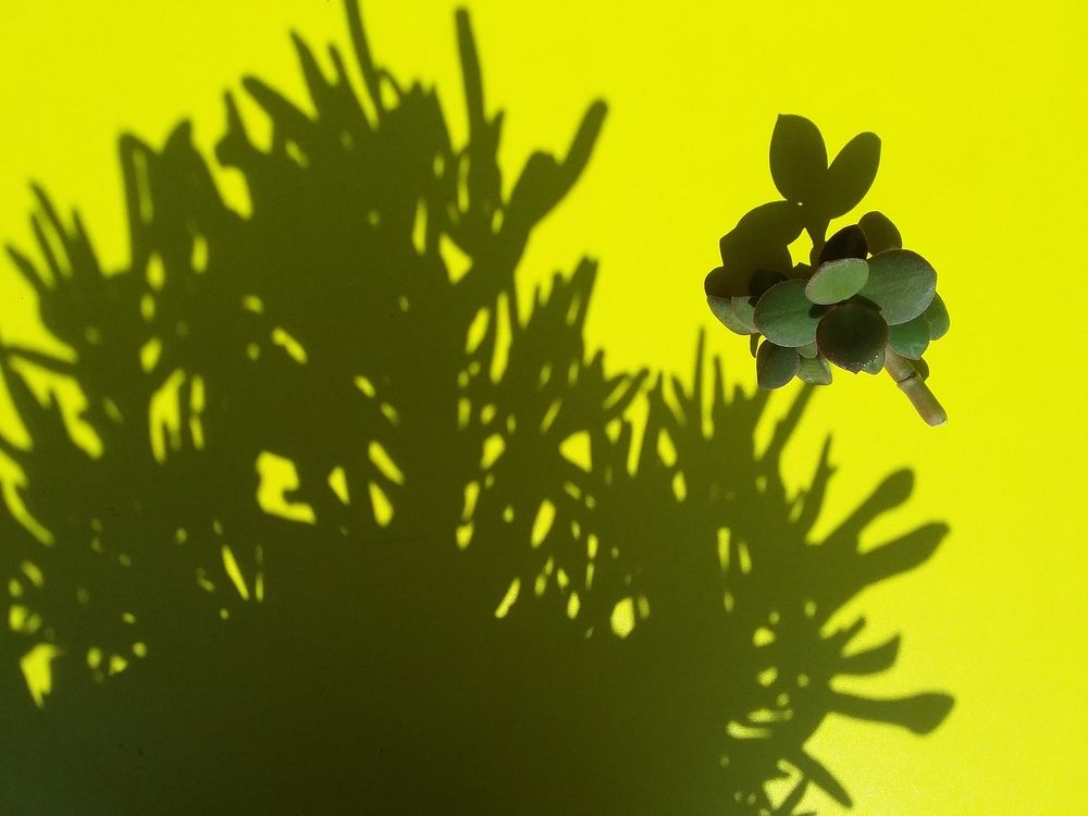 Photograph by Анастасия Кичигина