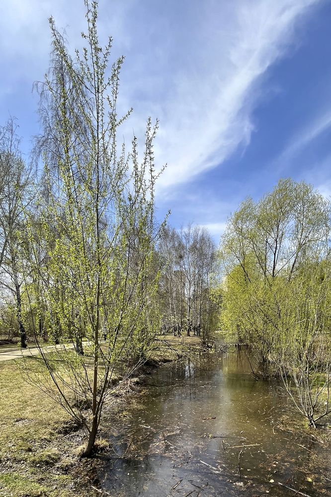 Photograph by Сергей Киселев