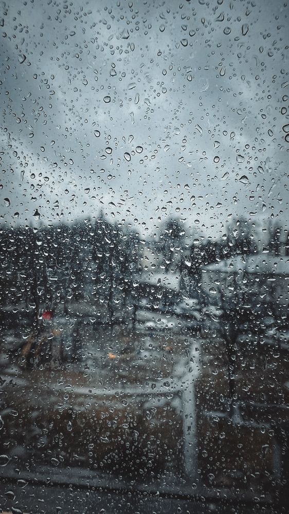 Photograph by Елена Зенкевич
