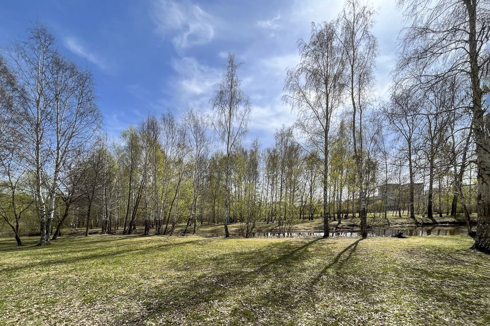 Photograph by Сергей Киселев