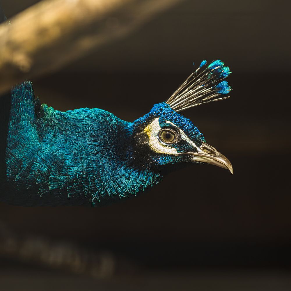 Photograph by Ангелина Голубева