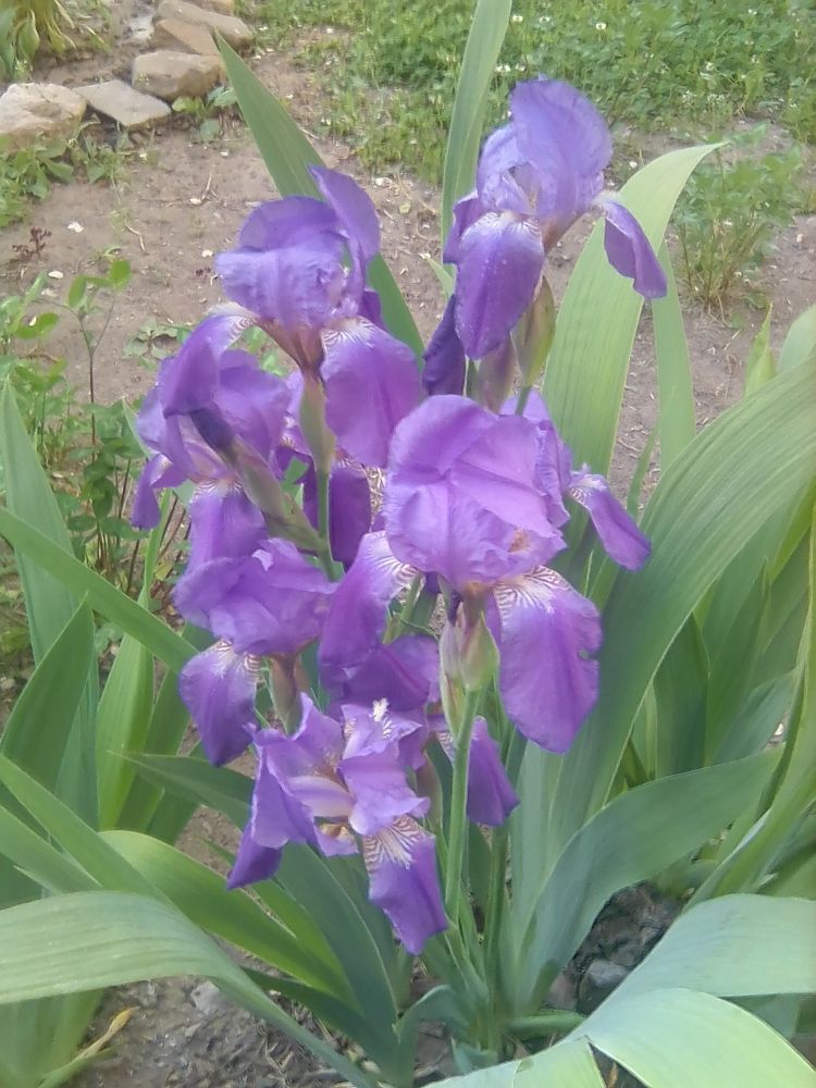 Photograph by Марта Васильева