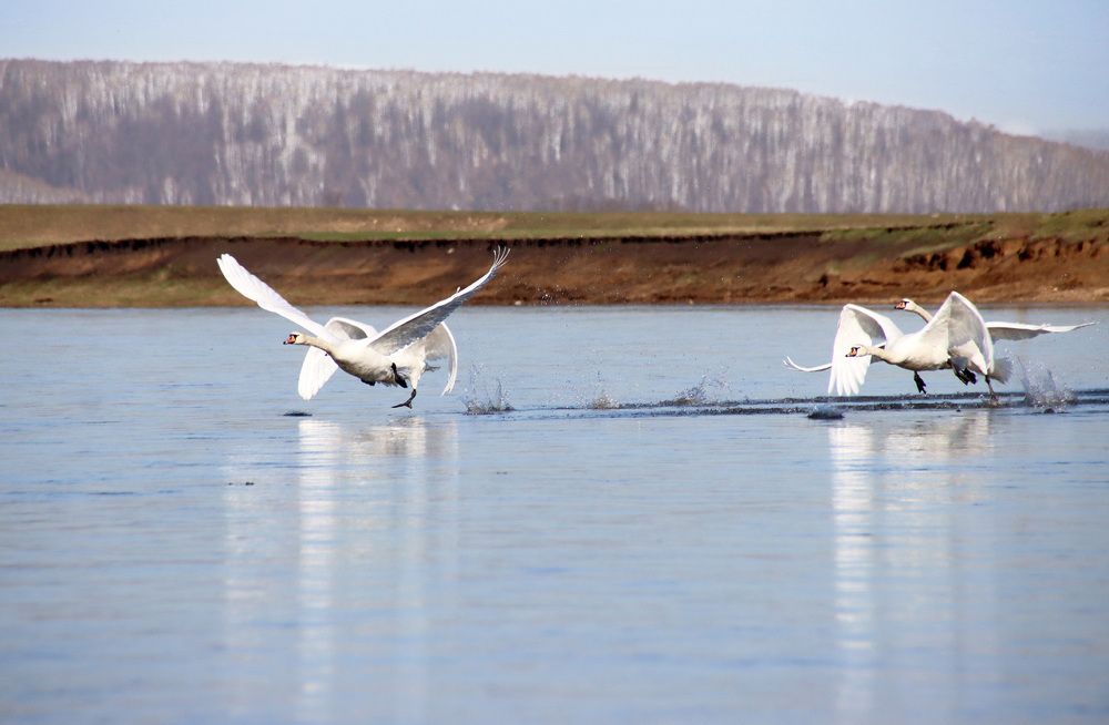 Photograph by Галина Ильясова