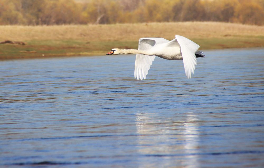 Photograph by Галина Ильясова