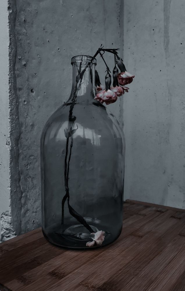 Photograph by Александра Якуцевич