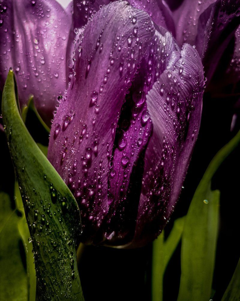 Photograph by Александра Якуцевич