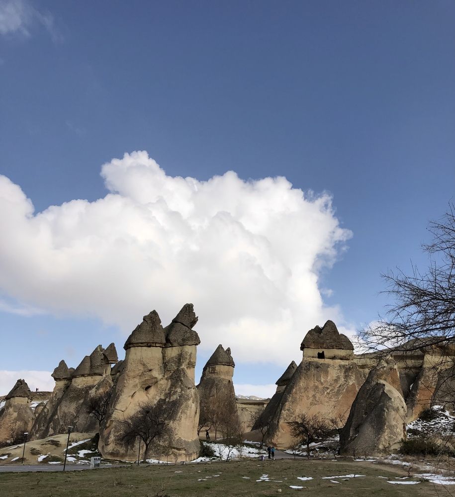 Photograph by Мария Бессмертная