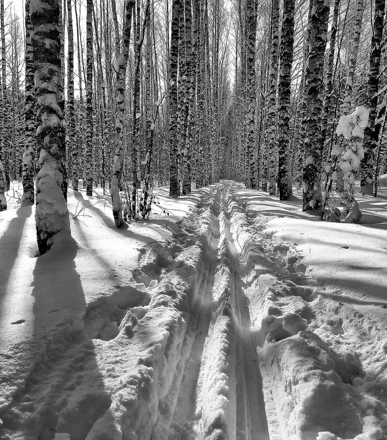 Photo #7566376