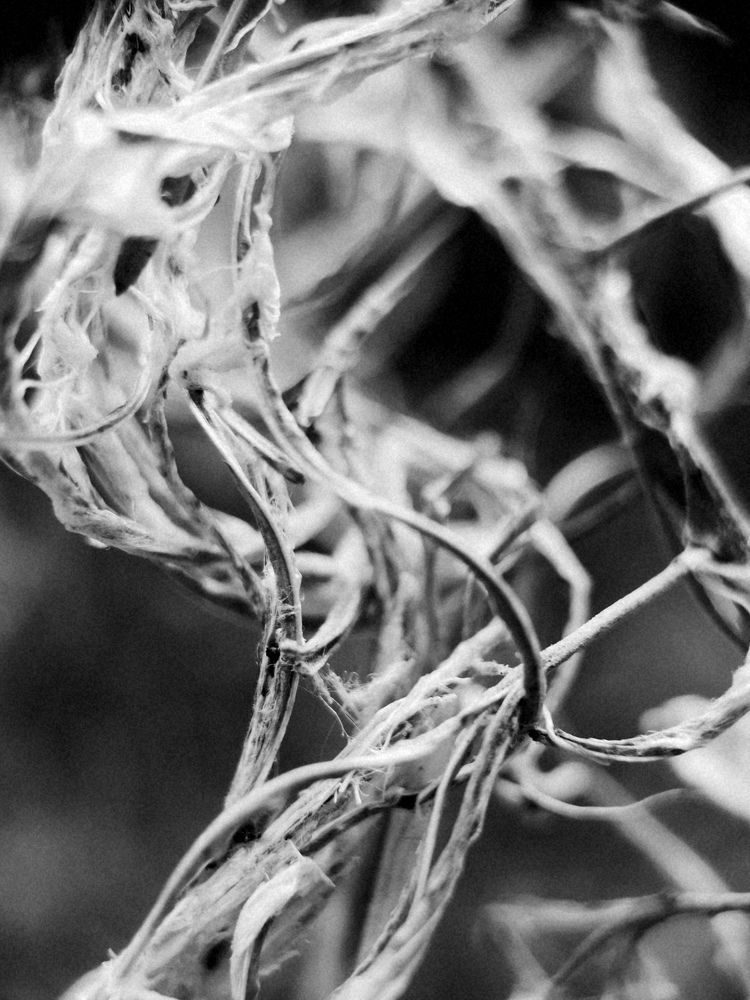 Photograph by Ольга Зимарина