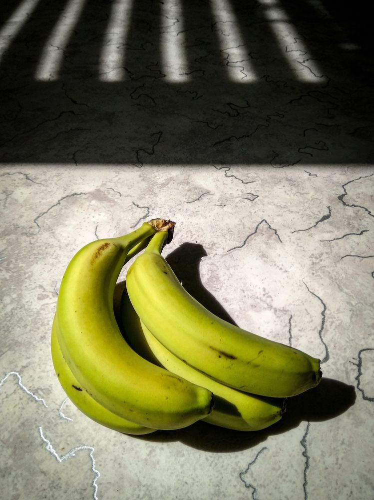 Странная жизнь