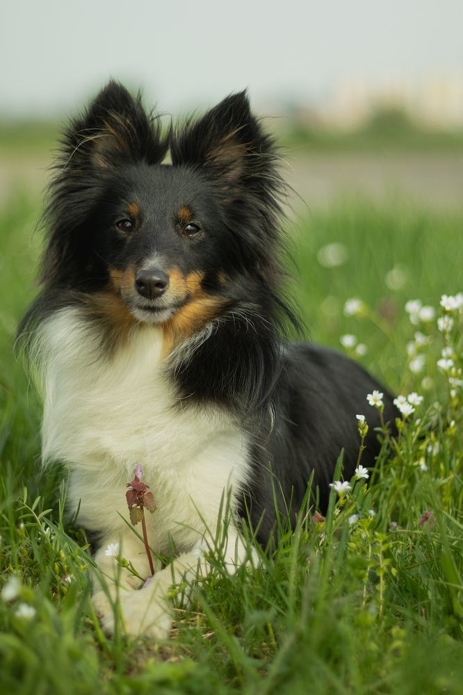 Photograph by Анастасия Слободская