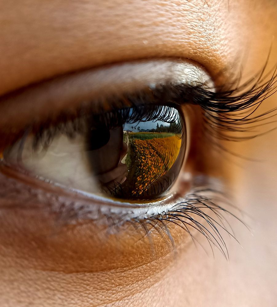 Photograph by Souvik Bhowmik