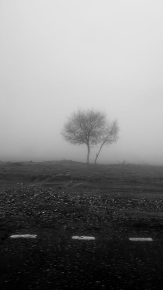 Photograph by Анна Краморова