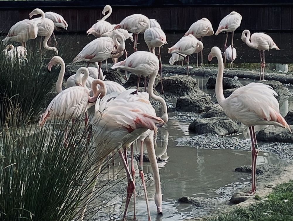 Photograph by Svetlana Kornilova